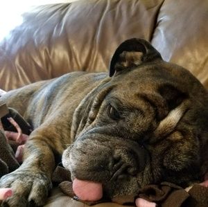 Meet your Posher, Sunny